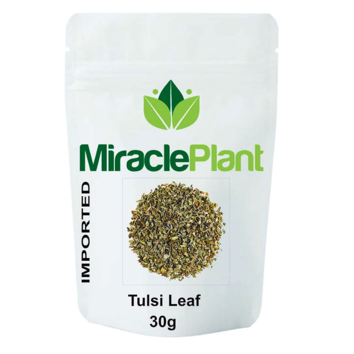 tulsi leaves organic tulsi leaf in pakistan 30g
