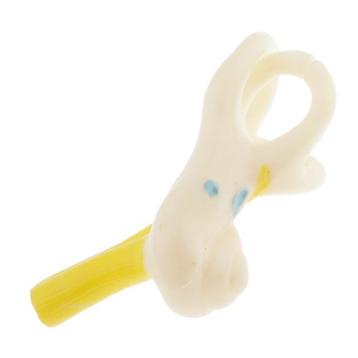 Professional%205x%20Enlarged%20Human%20Ear%20Cochlear%20Model%20Kids%20Science%20Classroom%20Study%20Display%20Teaching%20Tool%20-%20Image%204