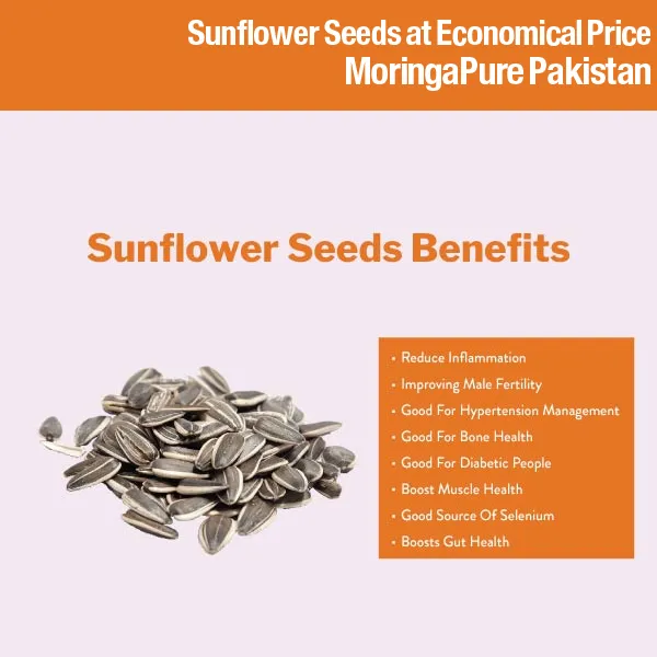Sunflower%20Seeds%20Pakistan%20Organic%20Unshelled%20100g%20-%20Image%204
