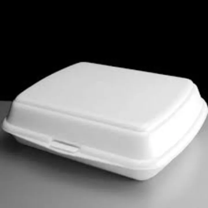 Disposable%20Foam%20Box%20Container%20Snack/Biryani/Food%20-%20Large%20-%20Pack%20of%2020,%20%20(%201pc%20%20extra%20per%2020%20pcs.%20)%20-%20Image%208
