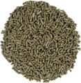 Small Pet Select-Premium Rabbit Food, Non-GMO, Soy Free - 500g. 
