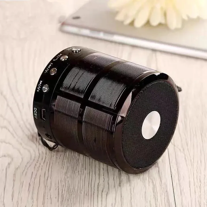 Wireless Bluetooth Mini Speaker – Small Steel-Cannon Subwoofer Portable ...