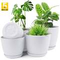 Plant Pots Indoor with Drainage - Pack of 5 Decorative Flower Pots for Indoor Plants. 