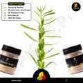 Sesame Seeds / Til / Organic Sesame Seeds / Pure Til / Til Safaid / White Sesame Seeds 70g. 