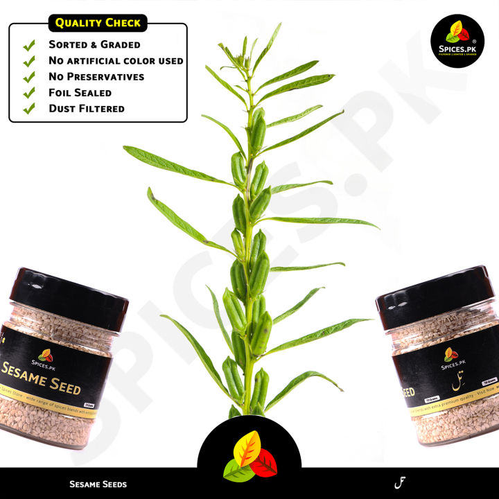 Sesame%20Seeds%20/%20Til%20/%20Organic%20Sesame%20Seeds%20/%20Pure%20Til%20/%20Til%20Safaid%20/%20White%20Sesame%20Seeds%2070g%20-%20Image%208