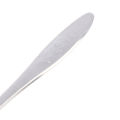 5Pc Baby Bird Pointed Feeding Spoon Stainless Steel Milk  Parrot Feeder. 