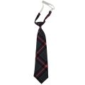 Women Plaid JK Neck Tie Girls Lazy Skinny Slim Cute Necktie Plaid Uniform School Student Neckties Gravatas Cravat Boys Neckwear. 