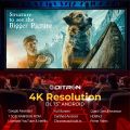 Ditron Led Tv Android-DL 75" FL ANDROID. 
