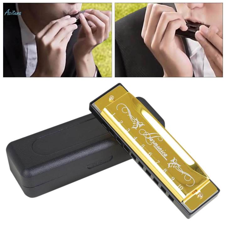 Mouth Organ Professional Diatonic Harmonica Deluxe Harmonica Harmonica for Concert Activities