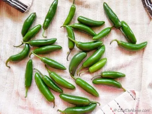 Green%20Chili/Chilli%20(Sabz%20Mirch)%20Kitchen%20Gardening%20Vegetable%20Best%20Quality%20Seeds%20-%20Image%206