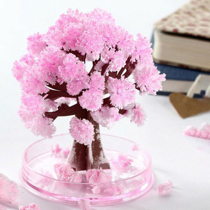 DIY Growing Tree Paper Sakura Crystal Trees Desktop Cherry Blossom Toys Paper Tree Gift Novelty Toy Exploring Science