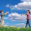 FLYING BIRD PHYSICAL WALKING TOYS FOR KIDS DAVINCI DESIGN WATER PROOF  - Thrown Bird Flying Toy With USB Charging Stunt Gowing Flapper For Space Adventures. 