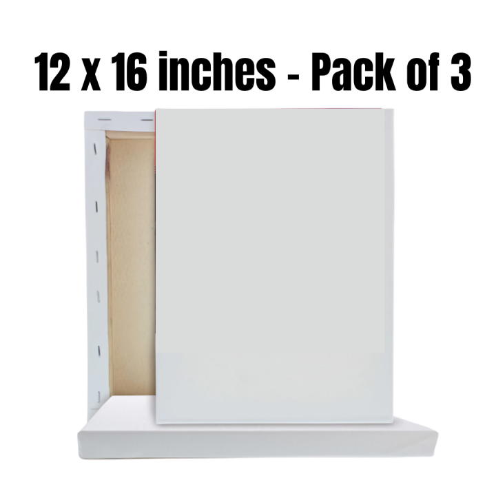 Pack of 3 - Square Canvases 12 x 16 For Painting, Canvas Boards, Canvas ...
