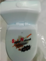 Commode Water throw Funny toy for Kids party fun. 