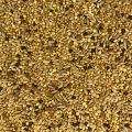 Finch Mix - 5 KG Finch Bird Food Seed mix for finches. 