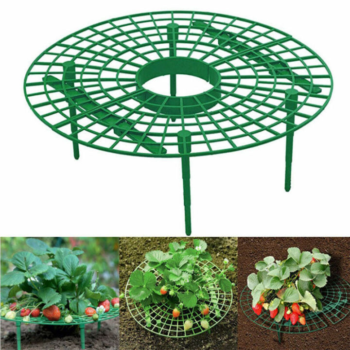 Balcony Vegetable Rack Fruit Stand Strawberry Support Strawberry