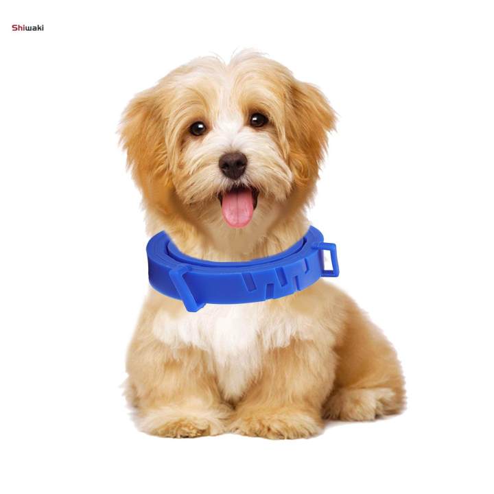 Anti%20Flea%20and%20Tick%20Neck%20Kitten%20Portable%208%20Months%20Protection%20Dogs%20Flea%20Collar%20-%20Image%206