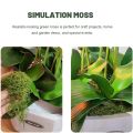 Moss Grass Turf Lawn Artificial Moss Green Fake Plant for Home Garden Wall DIY Micro Landscape Decoration. 