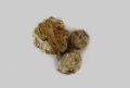 Raal Safaid 100gm - Sal Tree - 100% Original, Fresh and Pure Ral Safaed 50 grams by Herbisol. 
