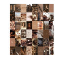 20 Brown Theme Aesthetic Wall Posters for wall bedroom deco. ( HD Printing with premium ink for long lasting color). 