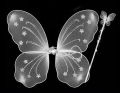 Fairy Wings Set For Kids -White. 