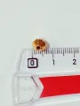 Golden Cut Drops Plastic Beads. 225 pcs/3 Strings Beads, For DIY Jewelry Making, Jewelry, Dress Accessories, Crafts, and Home Décor. 