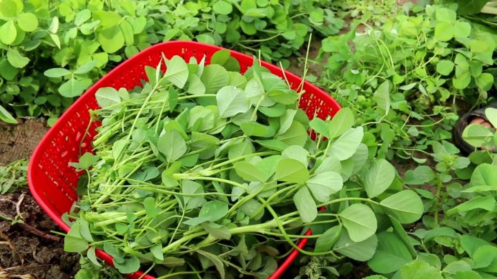 %C3%99%E2%80%9A%C3%98%C2%B5%C3%99%CB%86%C3%98%C2%B1%C3%9B%C5%92%20%C3%99%E2%80%A6%C3%9B%C5%92%C3%98%C2%AA%C3%9A%C2%BE%C3%9B%C5%92%20%C3%9A%C2%A9%C3%9B%E2%80%99%20%C3%98%C2%AF%C3%9B%C5%92%C3%98%C2%B3%C3%9B%C5%92%20%C3%98%C2%A8%C3%9B%C5%92%C3%98%C2%AC%20-%20Image%204