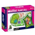 4D Vision Plant Cell Anatomy Model Learning Educational. 