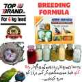Unique Breeding Formula 6KG Feed For Parrots. 