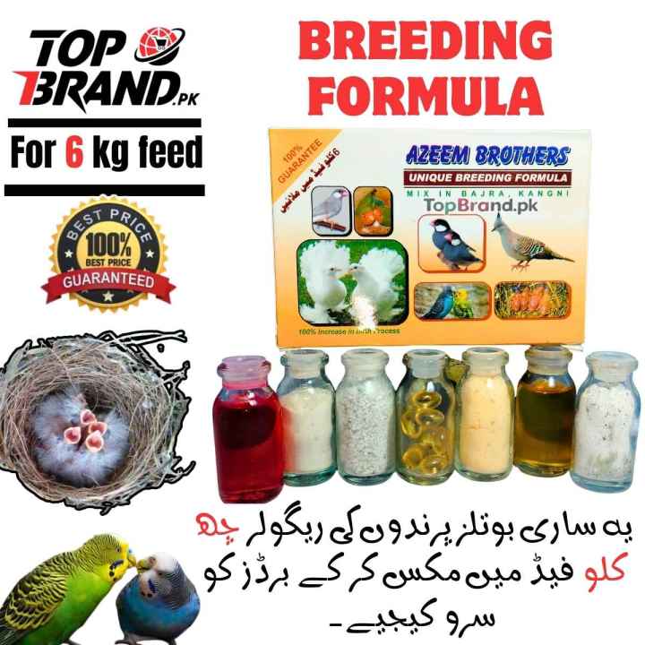 Unique Breeding Formula 6KG Feed For Parrots