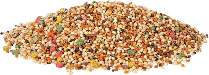(1KG)%20Mix%20Daal%20Dana%20,%20Kabotar%20Dana%20,%20Hen%20feed%20,%20Murgi%20Dana%20dal%20Dana%20%7C%20High%20Quality%20Full%20Nutrition%20Mix%20Feeds%20for%20Pigeons%20Hens%20Peacock%201000%20gms%20-%20Image%202