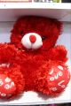 Red Soft Teddy Bear with Soft Love For Gift Romantic Lovely Design And Vivid Color Real 3d Work 12inch-size Royal Gift Teddy. 
