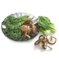 Folable & adjustable Stainless Steel silver Vegetable multi purpose Steamer (medium size). 