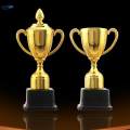 Award Trophy Kids Small Trophies Teens Gold Trophy for Celebrations Classroom Prize Competition. 