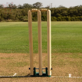 Ball Hitting Wicket For Cricket, 1 Base Stand 2 Bails. 