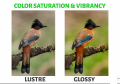 Ecotone RC Luster Inkjet Photo Paper 4R 4 X 6 Inches 260 gm 100 sheets. 
