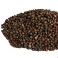 Kabab Chini - کباب چینی  (Kabab Cheeni) - Piper Cubeba - 250 Grams. 