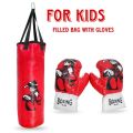 Boxing Punching Bag with Gloves for Kids in MULTICOLORS with different cartoons printing (for 5 to 12 years). 