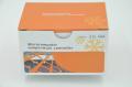 digital temperature controller stc-100 220v. 