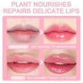 1Pcs Avocado Rich Lip Oil Hydrating Woman Clear Lip Gloss Lip Care Ampoule Lip Oil. 