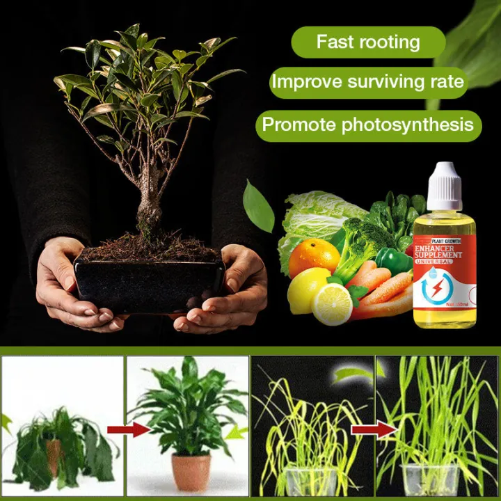 Plant%20Protein+%20-%20Image%203