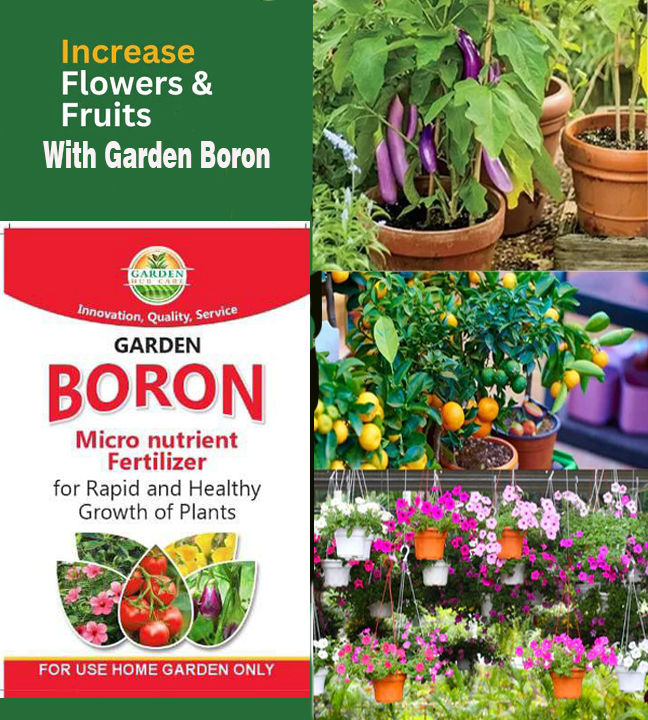 Garden Boron Micro nutrients fertilizer
