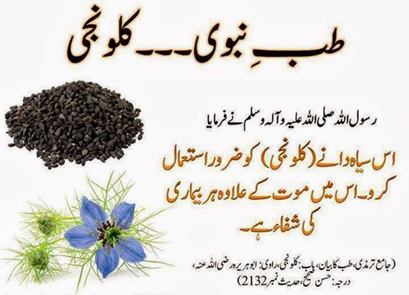 Premium%20Kalonji%20(Nigella%20Sativa)%20Seeds%20-%20100grams%20(Natural%20Health%20Booster%20)%20-%20Image%203