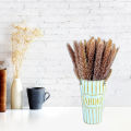 30Pcs Dried Grass Eco-friendly Beautiful Dried Flower  Dried Pampas Grass for Home. 
