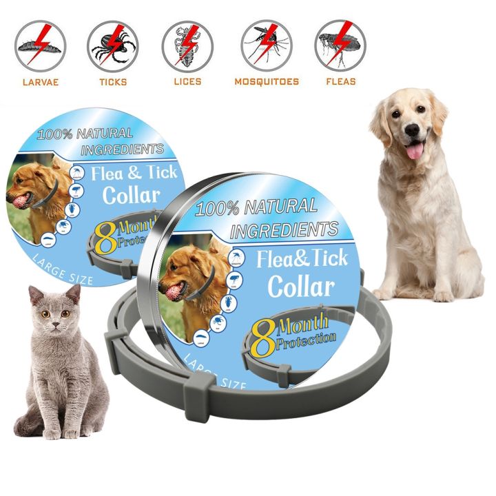 8Month Lasting Protection Anti Insect Flea Tick Collar for Pet Dog Cat ... - Kitten Flea Collars With Long-Lasting Protection