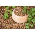 Dried Coriander Seeds whole( desi), sabat sokha dhania 1 Kg,  ( دیسی ثابت سوکھا دھنیا)، 1 Kg خالص ہی ہماری پہچان. 