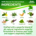 EVERLONG Lung Detox Tea – Mullein Tea with Thyme, Ginseng, Lungwort, Eucalyptus, Liquorice, Spearmint and Sage for Lung Cleanse and Respiratory Health – 14 Herbal Tea Bags, All Natural, Caffeine-Free. 