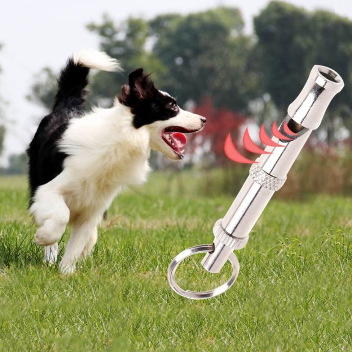 Pet Dog Training Obedience Whistle Ultrasonic Supersonic Sound Pitch Quiet Adjustable Flute Puppy
