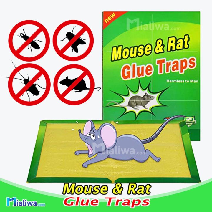 Reusable%20Expert%20Catch%20Mouse%20and%20Rat%20Glue%20Catch%20Traps%20Mouse%20Glue%20Traps%20Sticky%20Boards%20Mouse%20Catcher%20Mice%20Professional%20Strength%20Glue%20and%20Foldable%20Cardboard%20Mouse%20Killer%20Glue%20Trap%20-%20Image%203