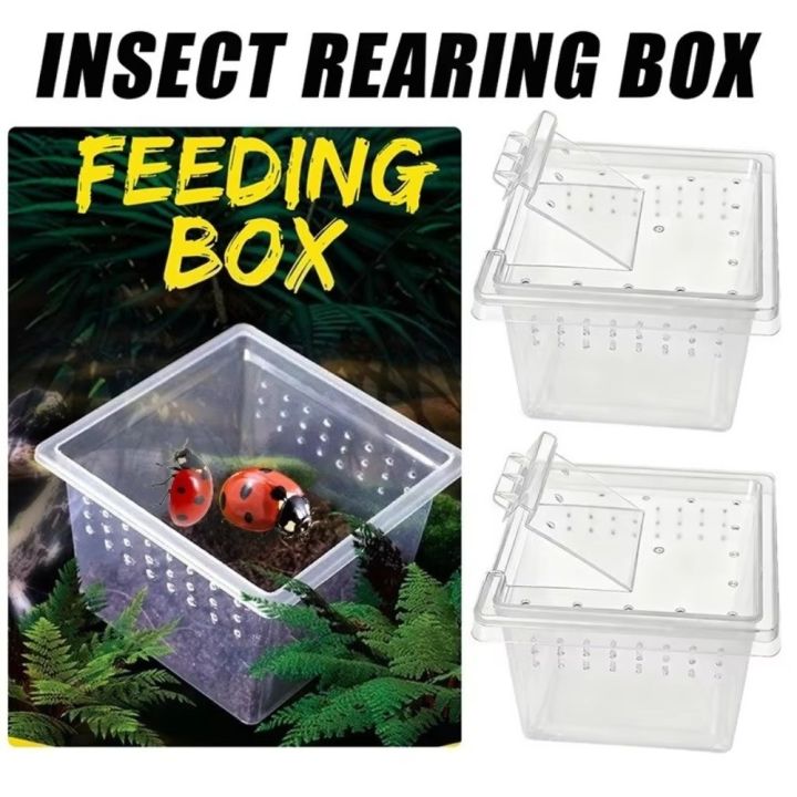New Clear Plastic Reptile Living Box Food Feeding Anti-Escape Lizard